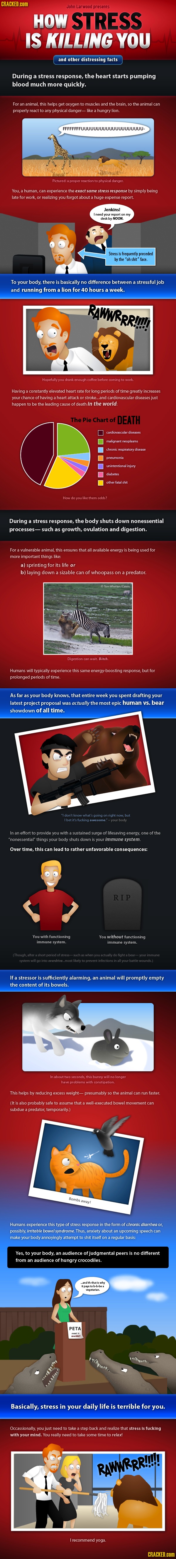 How Stress is Killing You infographic