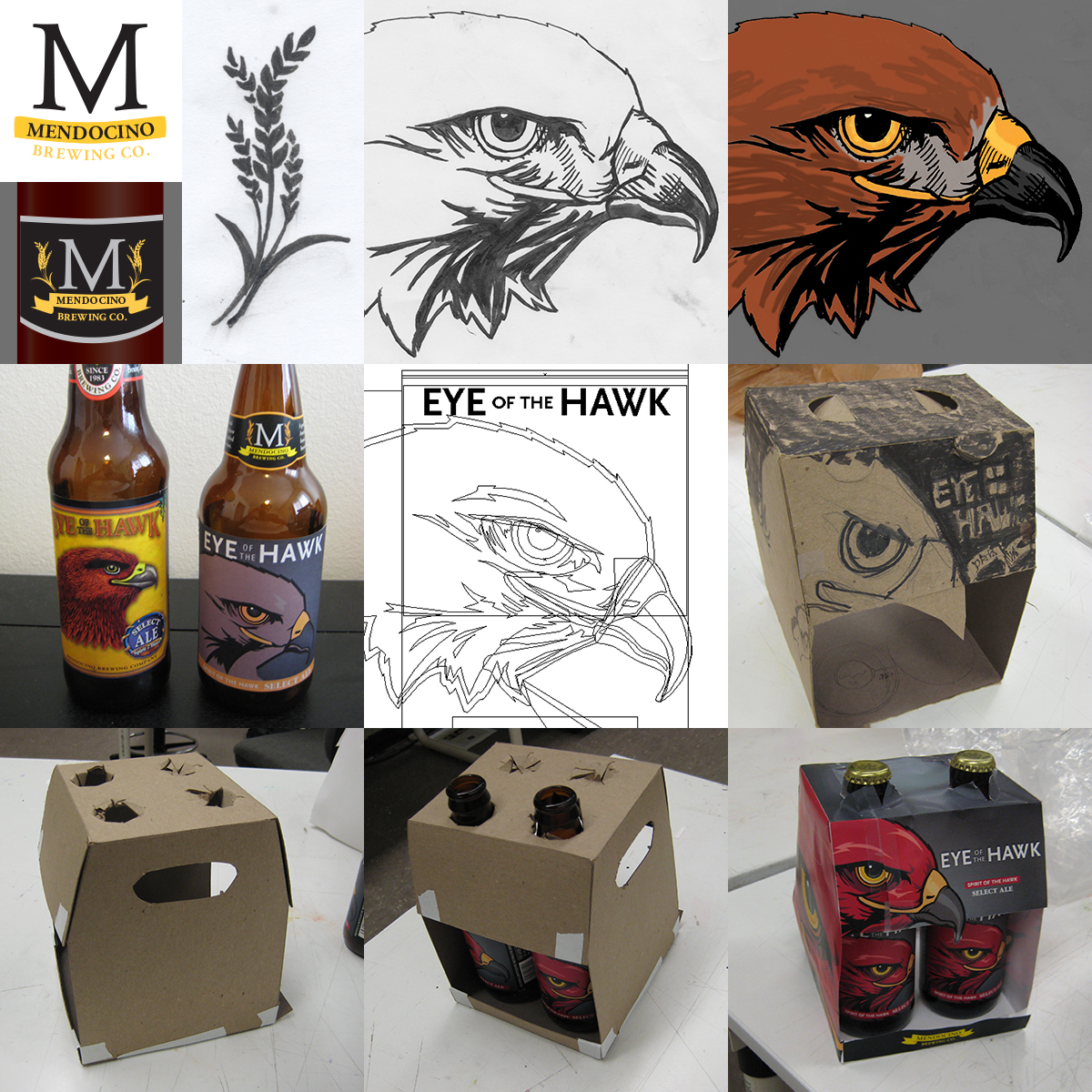 Eye of the Hawk process illustration and photos